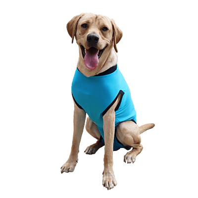 Purfect PetVest for Dogs Purfect PetVest for Dogs
