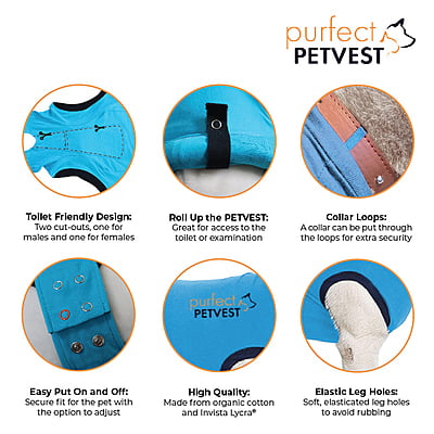 Purfect PetVest for Dogs Purfect PetVest for Dogs