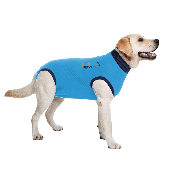 Purfect PetVest for Dogs